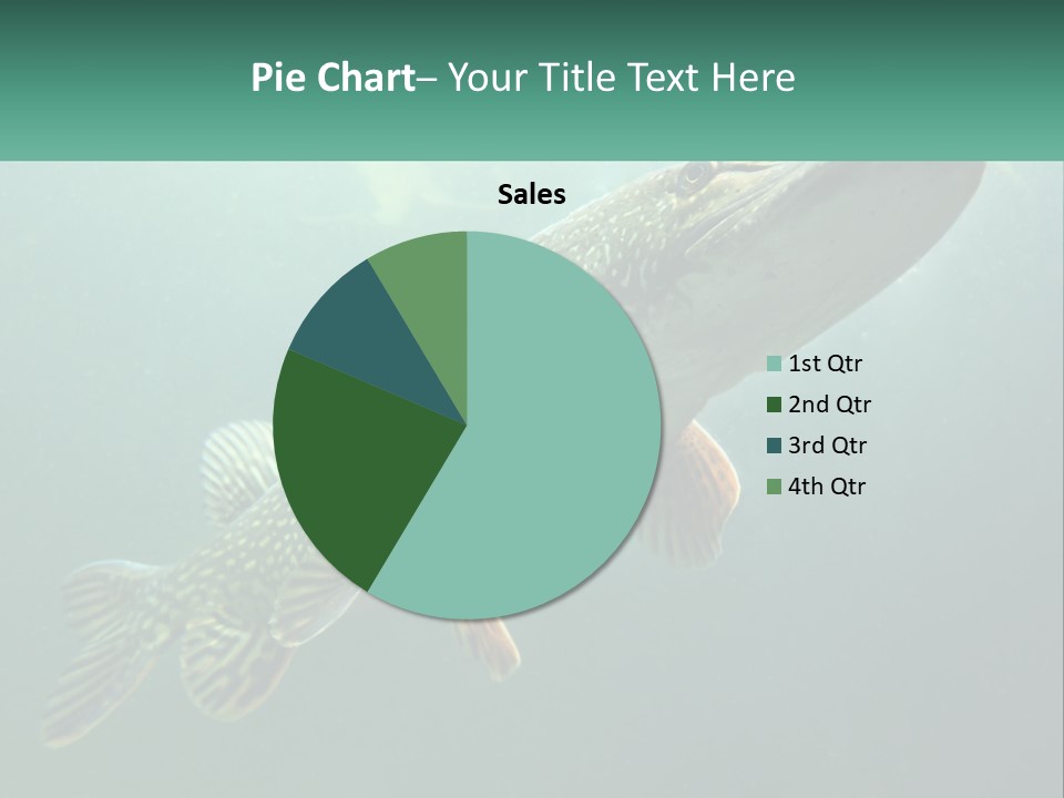 Catfish PowerPoint Template