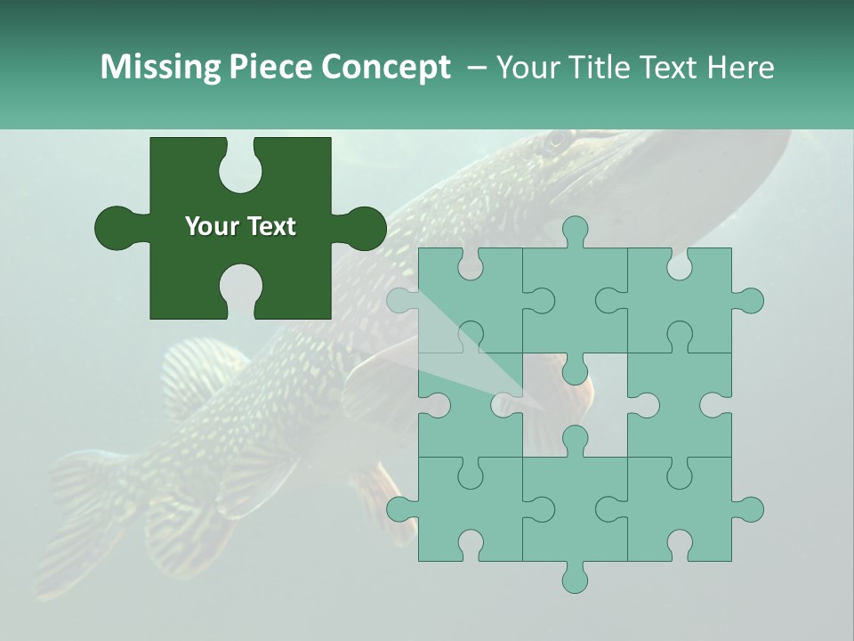 Catfish PowerPoint Template