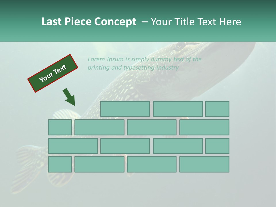 Catfish PowerPoint Template