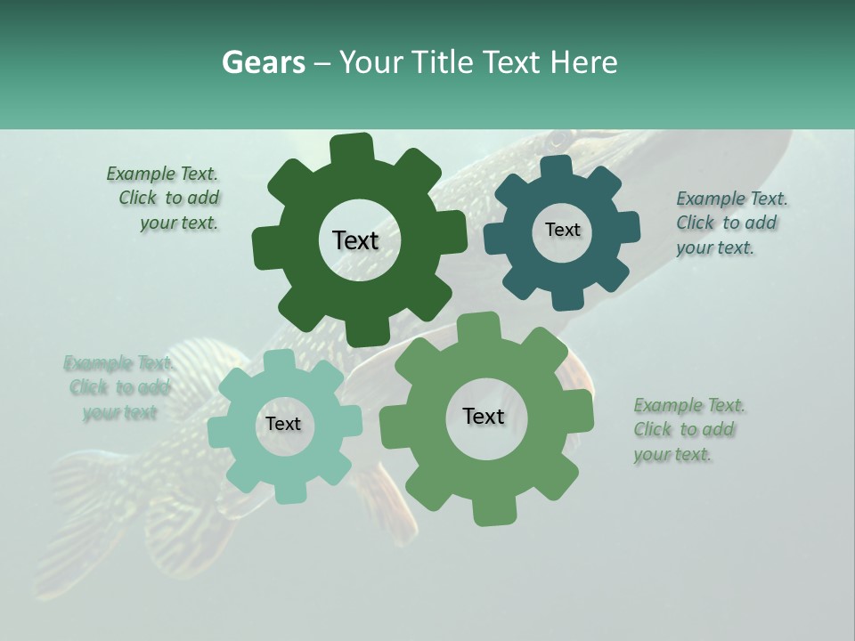 Catfish PowerPoint Template