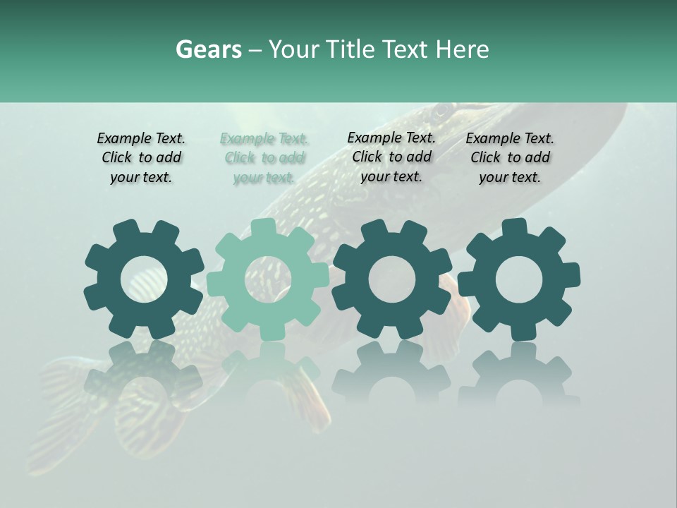 Catfish PowerPoint Template