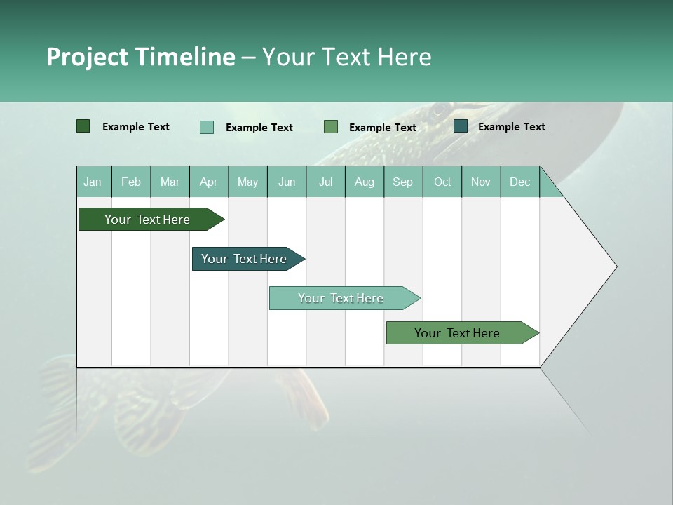 Catfish PowerPoint Template