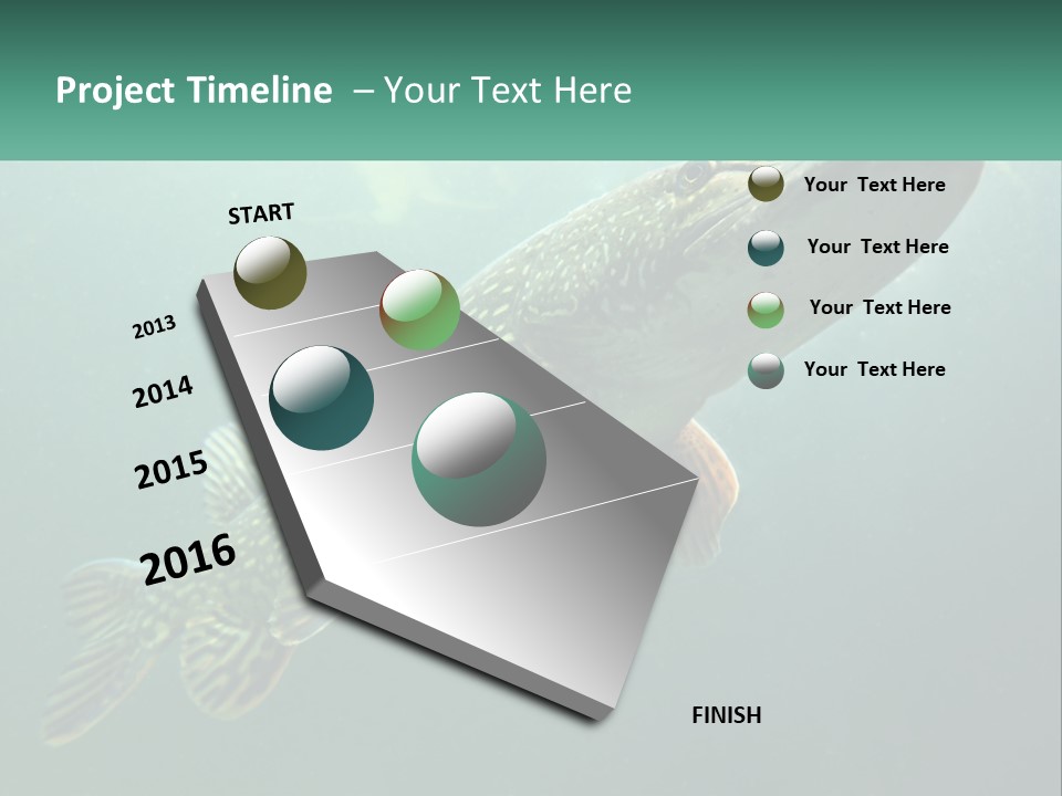 Catfish PowerPoint Template