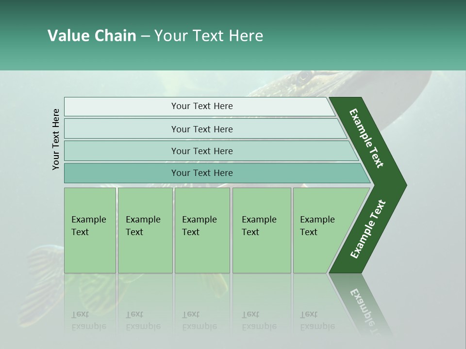 Catfish PowerPoint Template