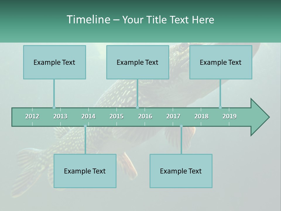 Catfish PowerPoint Template