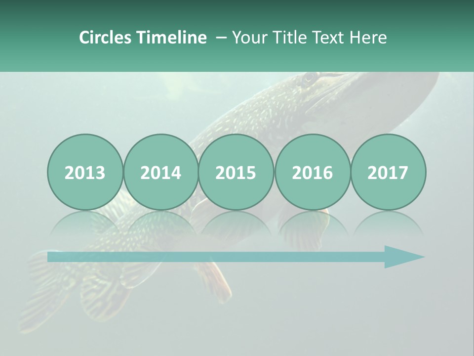 Catfish PowerPoint Template