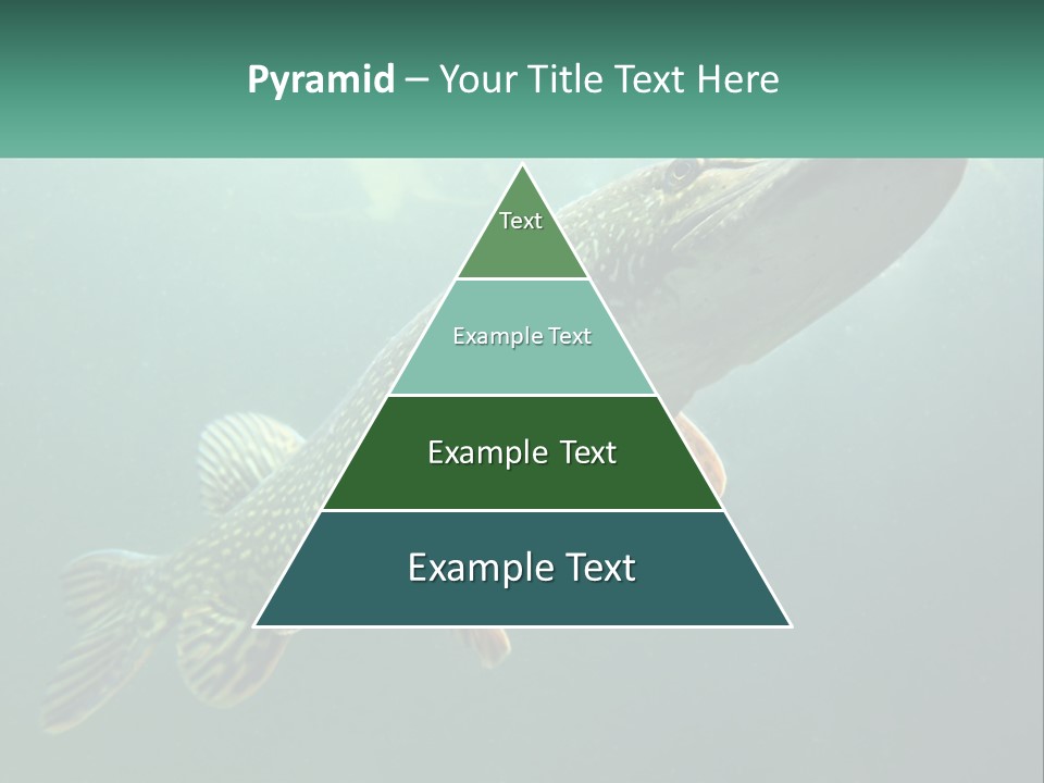 Catfish PowerPoint Template