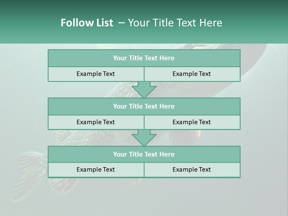 Catfish PowerPoint Template