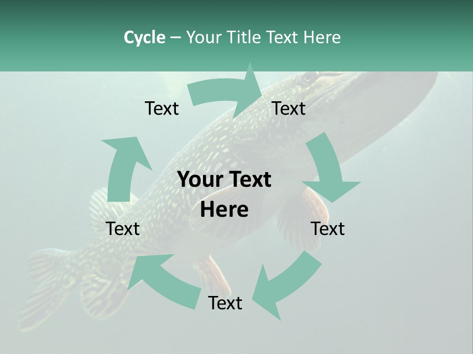 Catfish PowerPoint Template