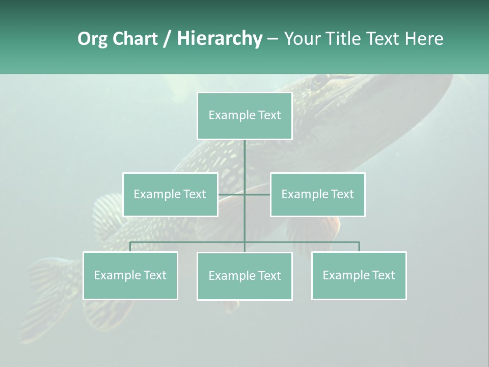 Catfish PowerPoint Template