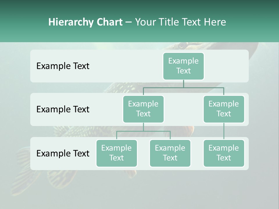 Catfish PowerPoint Template