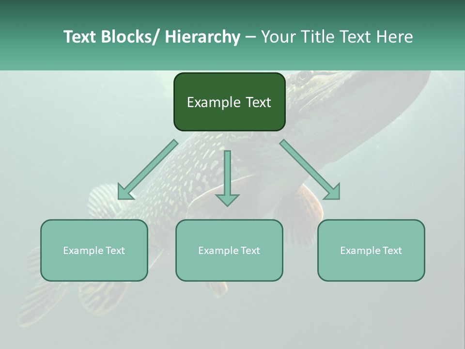 Catfish PowerPoint Template