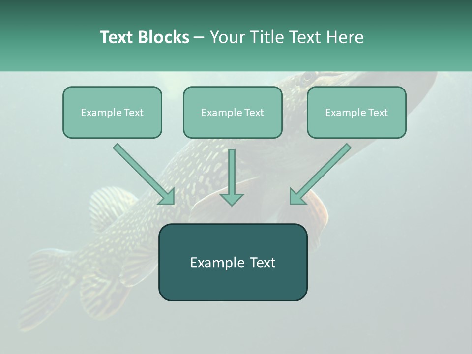 Catfish PowerPoint Template