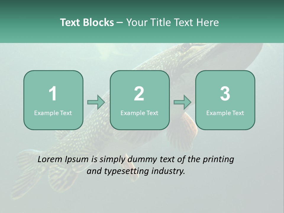 Catfish PowerPoint Template