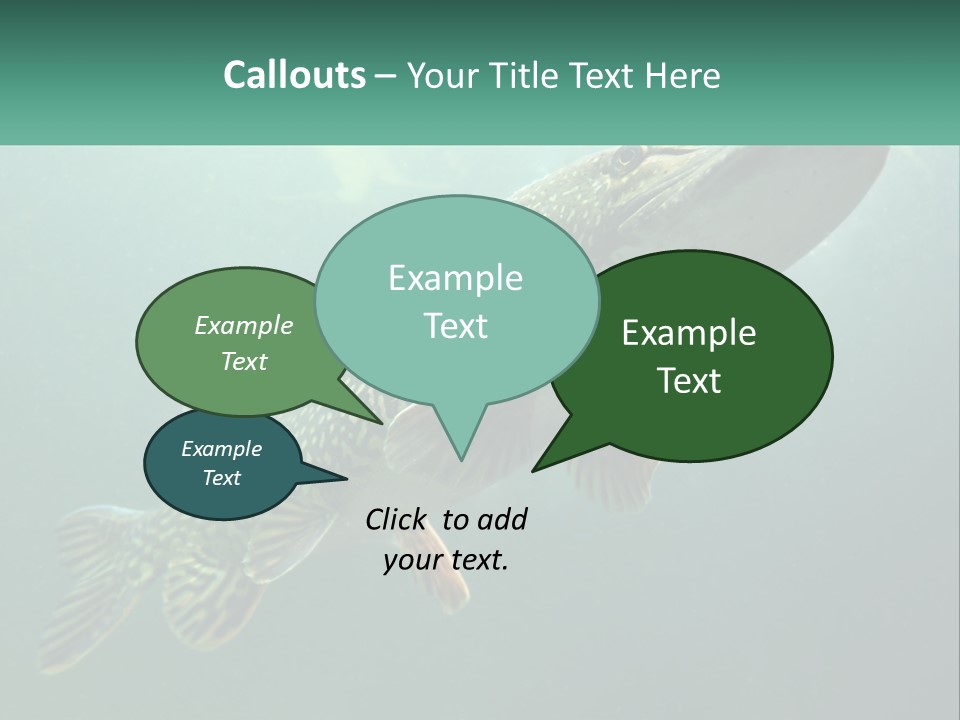 Catfish PowerPoint Template