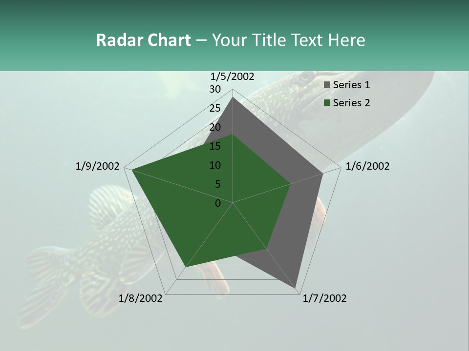 Catfish PowerPoint Template
