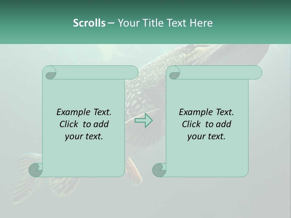 Catfish PowerPoint Template