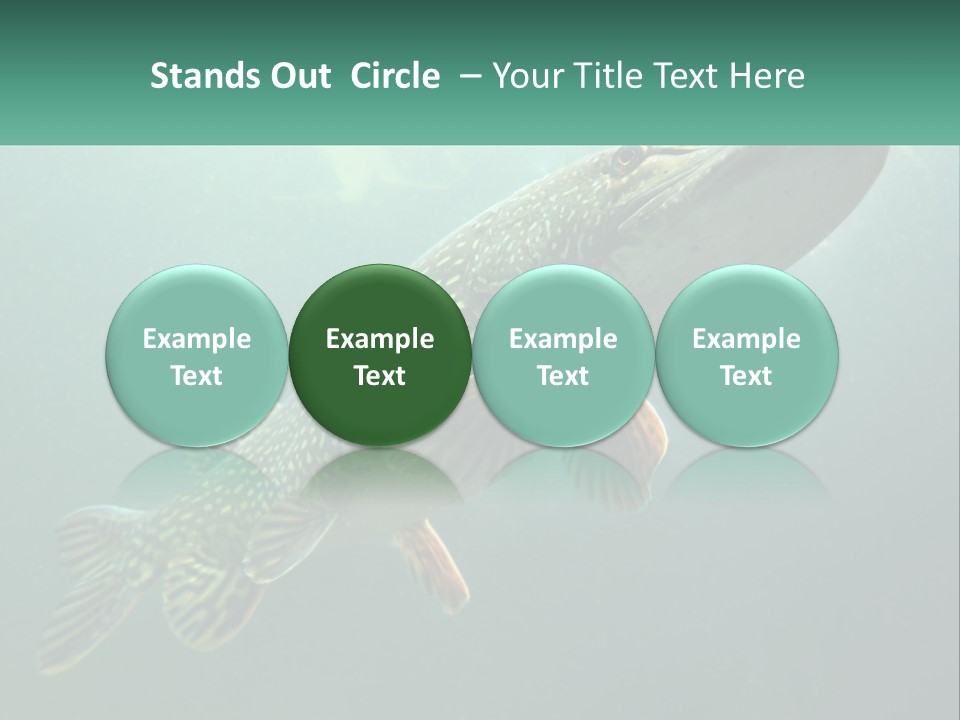 Catfish PowerPoint Template