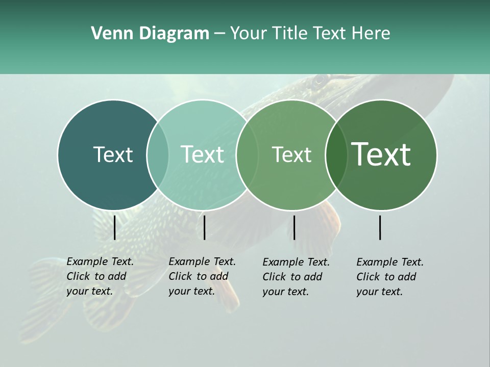 Catfish PowerPoint Template