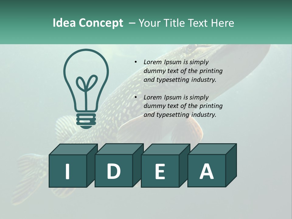 Catfish PowerPoint Template