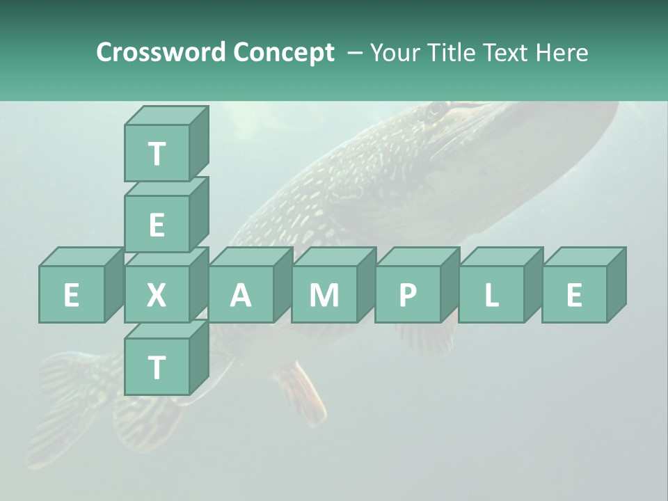 Catfish PowerPoint Template