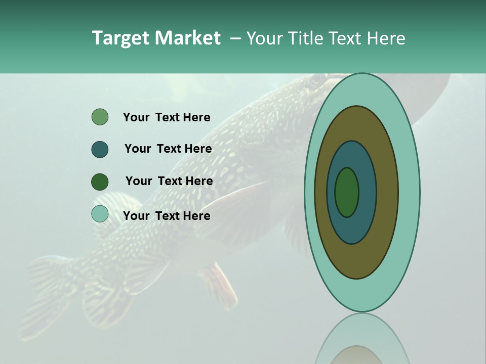 Catfish PowerPoint Template