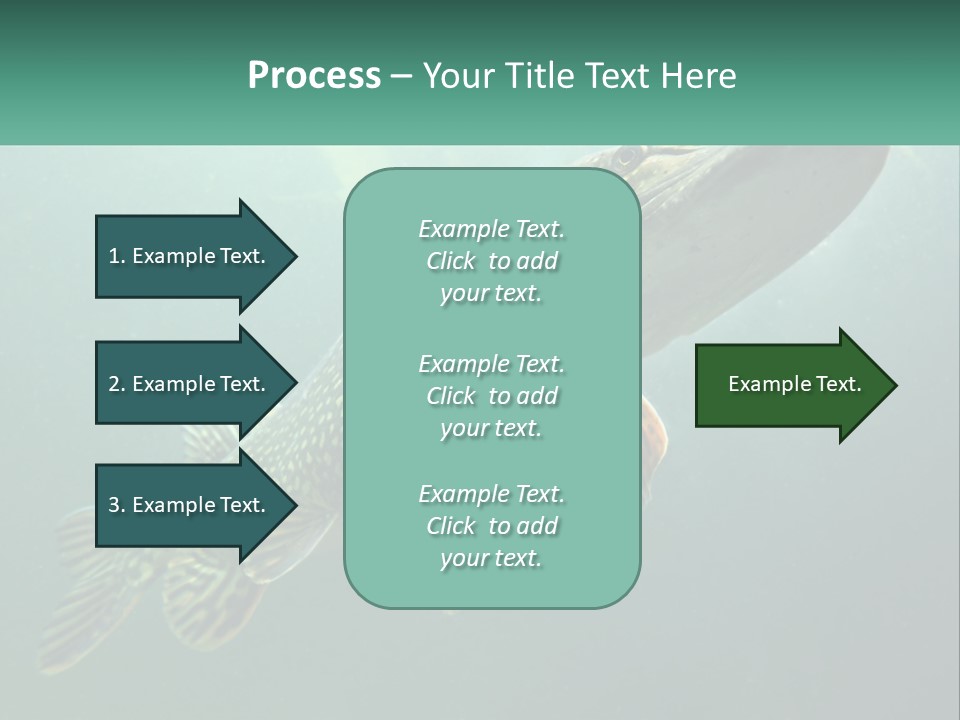Catfish PowerPoint Template