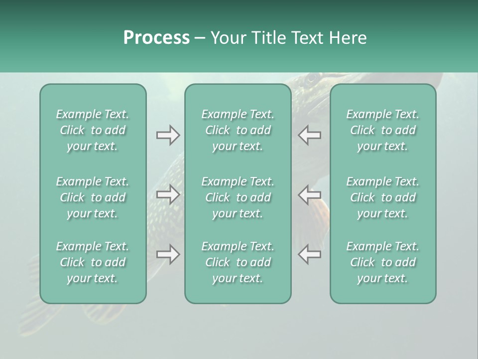 Catfish PowerPoint Template
