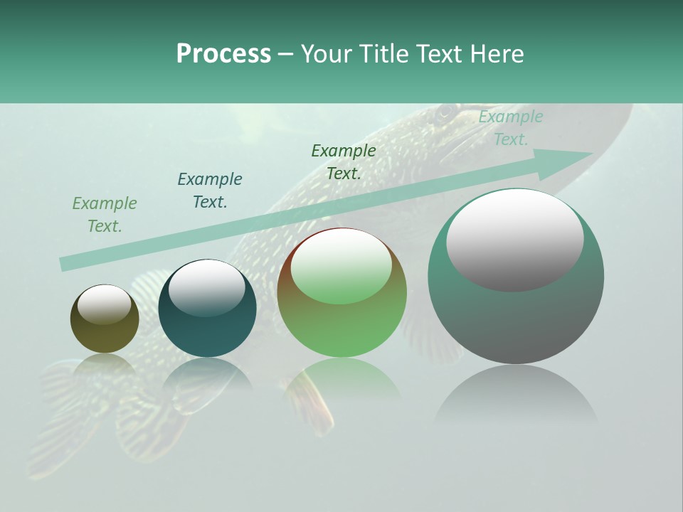 Catfish PowerPoint Template