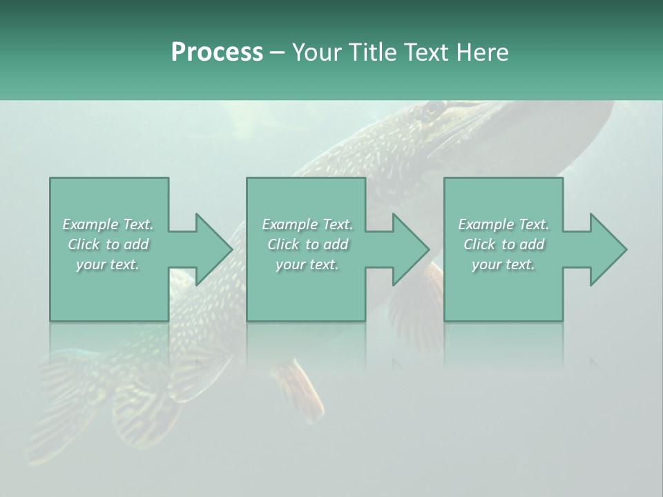 Catfish PowerPoint Template