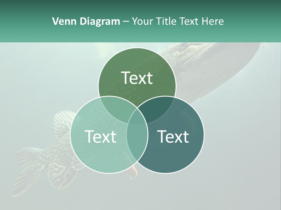 Catfish PowerPoint Template