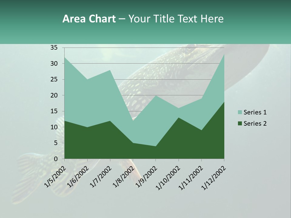 Catfish PowerPoint Template