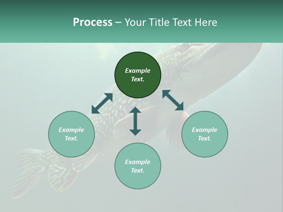 Catfish PowerPoint Template