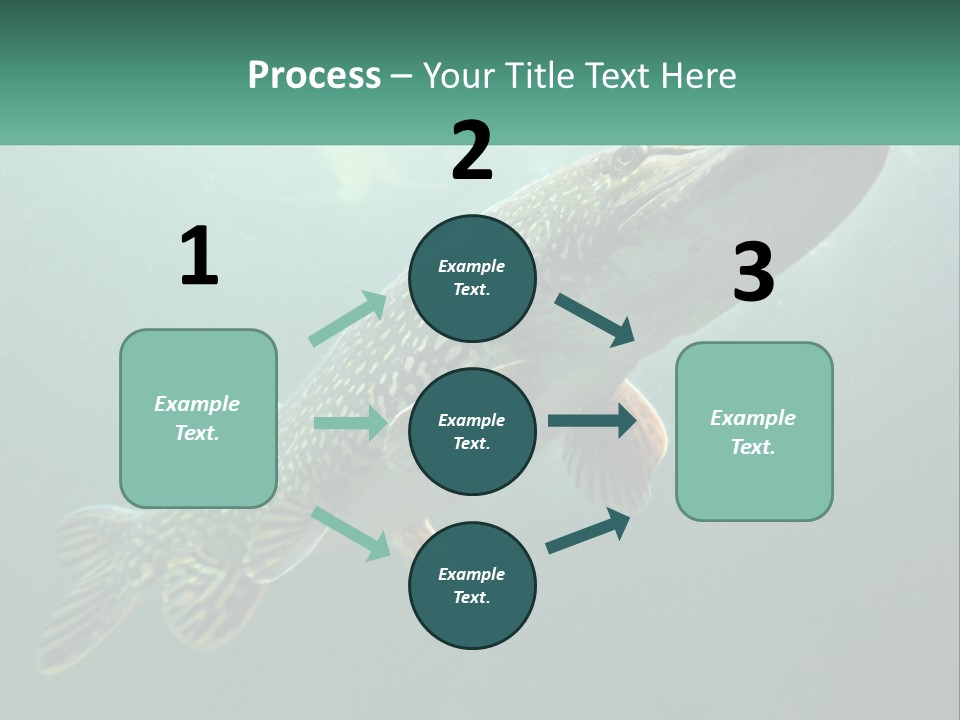 Catfish PowerPoint Template