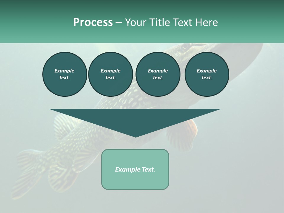 Catfish PowerPoint Template