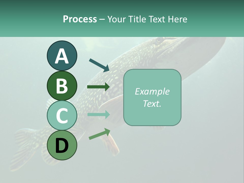 Catfish PowerPoint Template