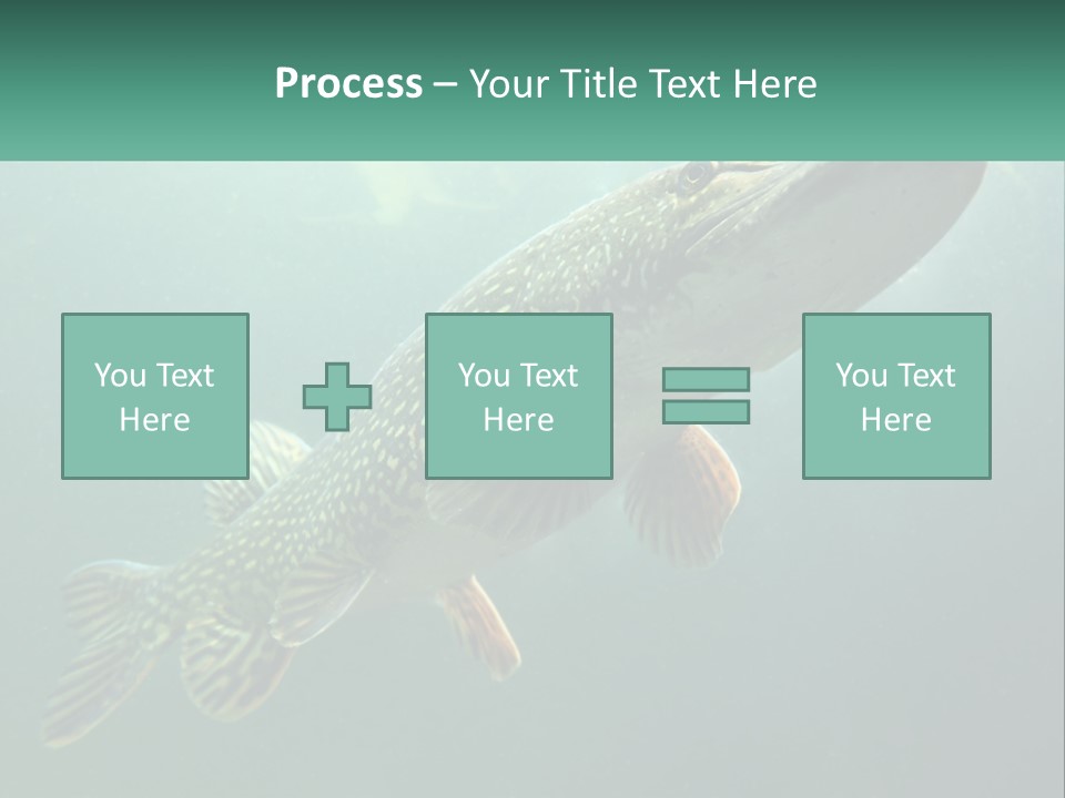 Catfish PowerPoint Template