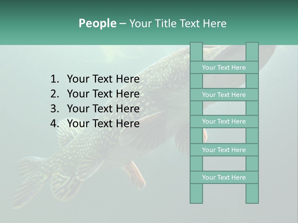 Catfish PowerPoint Template