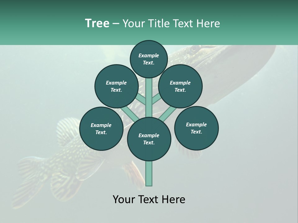 Catfish PowerPoint Template