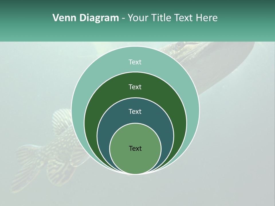 Catfish PowerPoint Template
