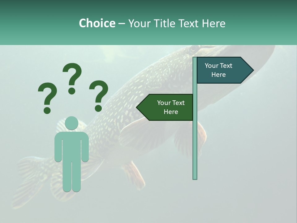 Catfish PowerPoint Template