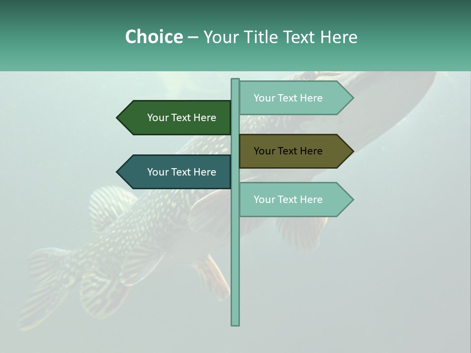 Catfish PowerPoint Template