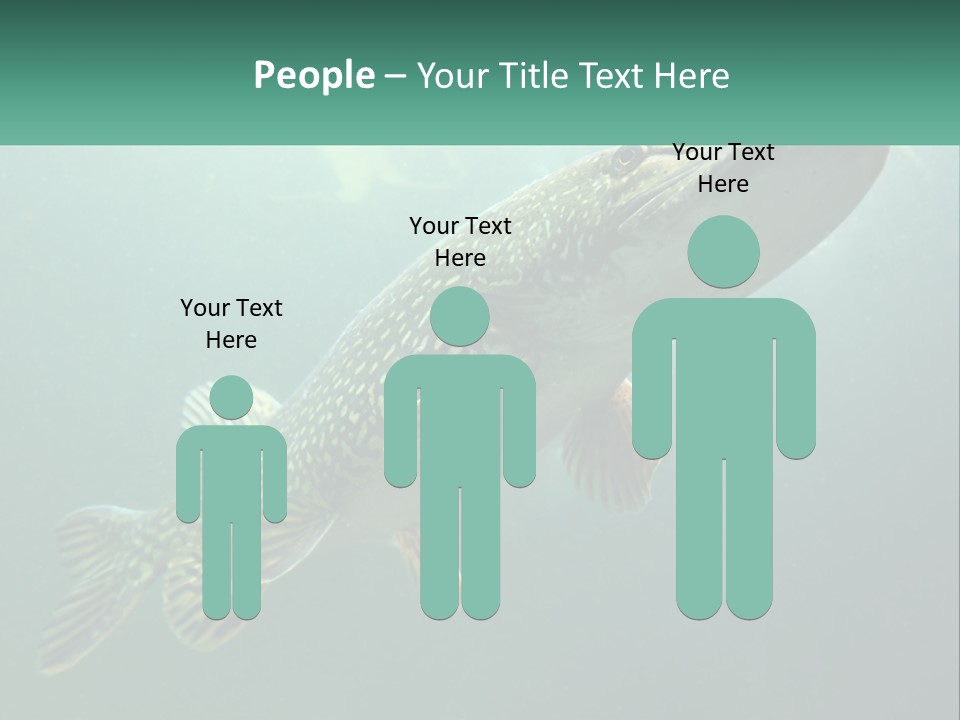 Catfish PowerPoint Template