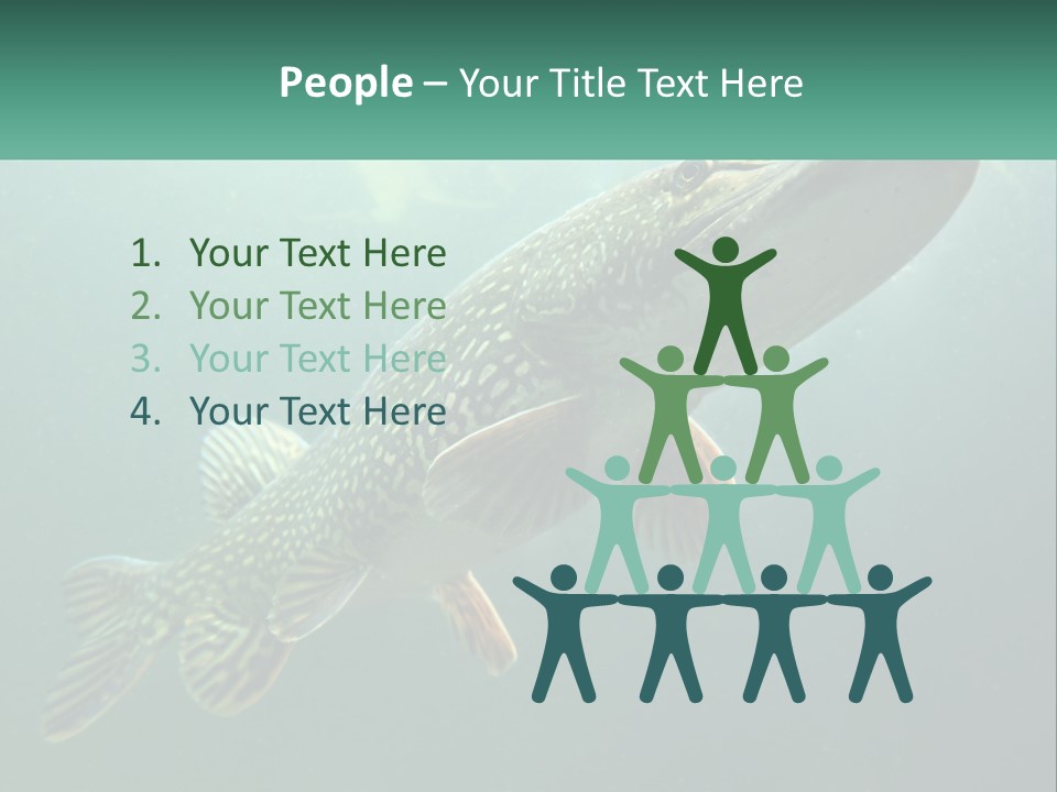 Catfish PowerPoint Template