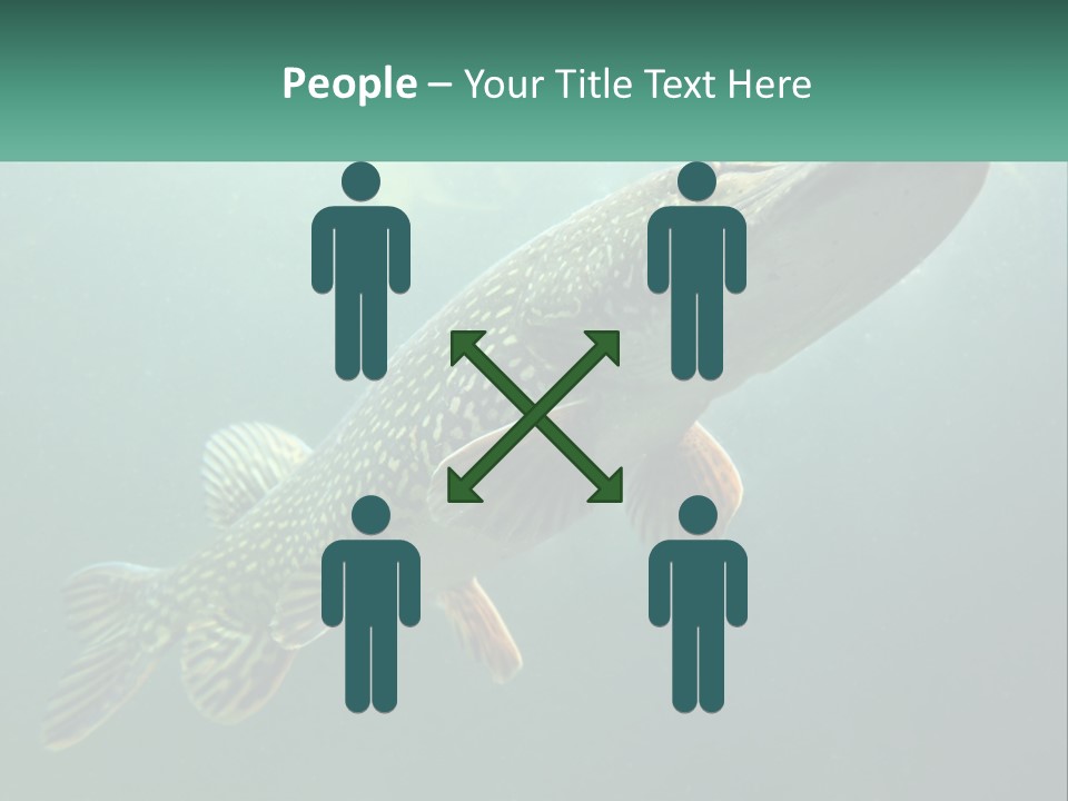 Catfish PowerPoint Template