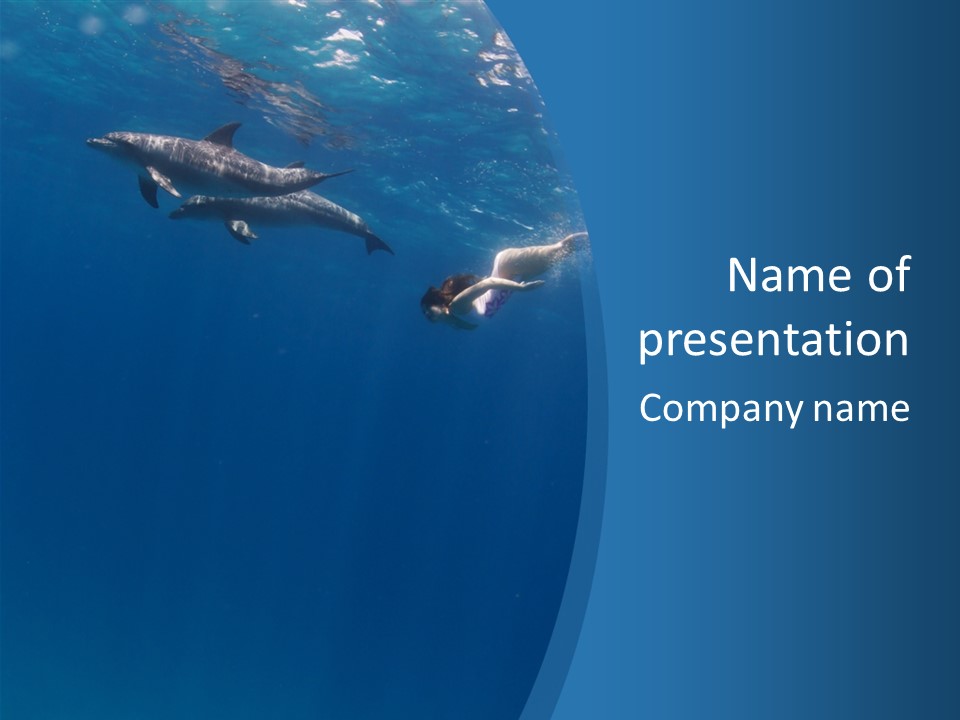 Dolphins PowerPoint Template