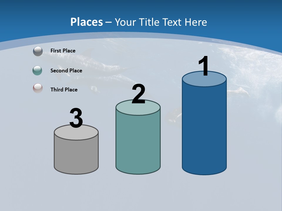 Dolphins PowerPoint Template