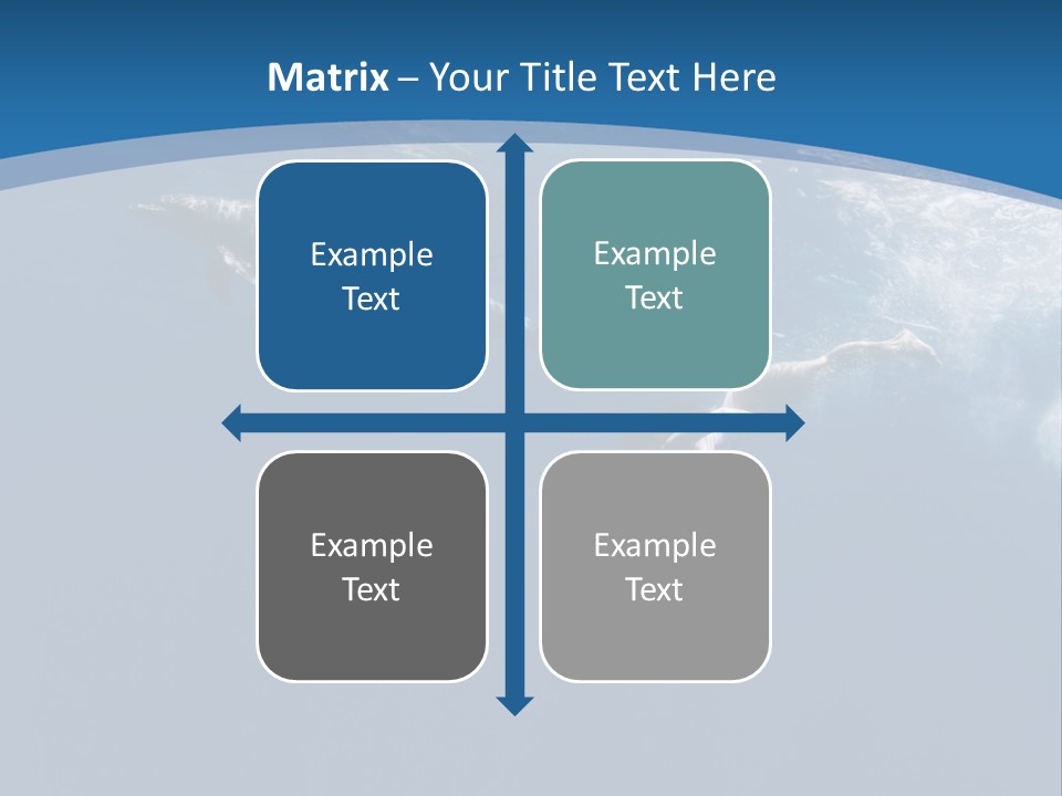 Dolphins PowerPoint Template
