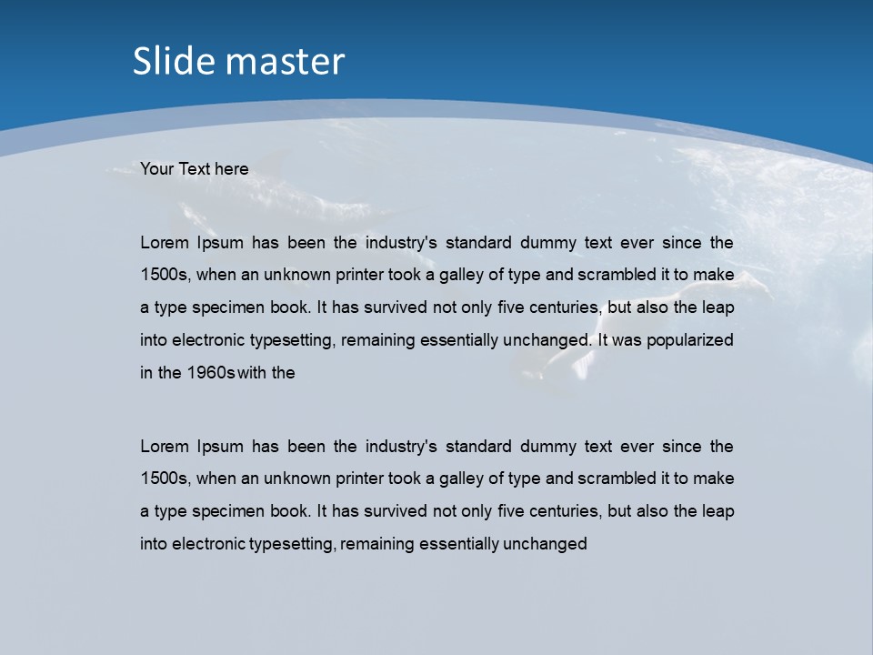 Dolphins PowerPoint Template