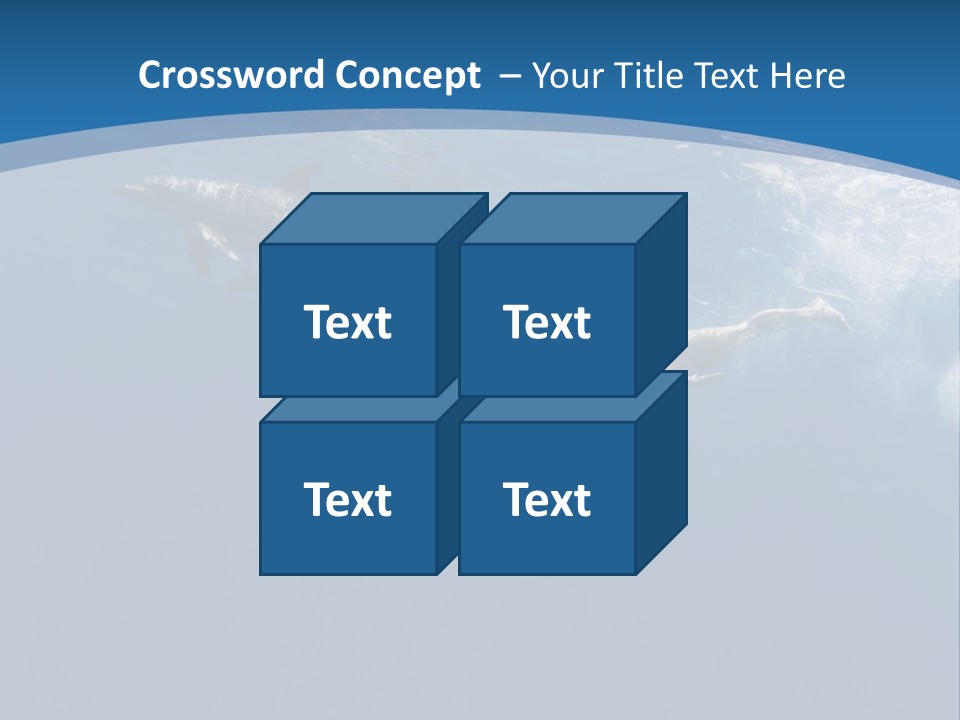 Dolphins PowerPoint Template